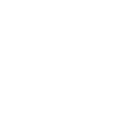 Customizable interface
